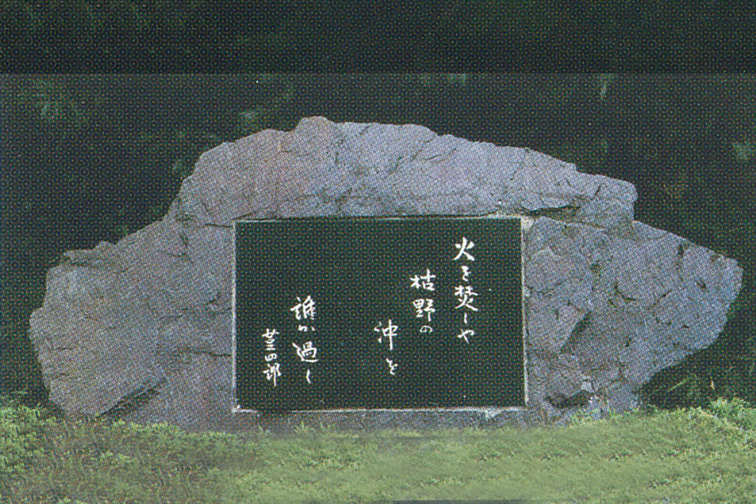 枯野の沖