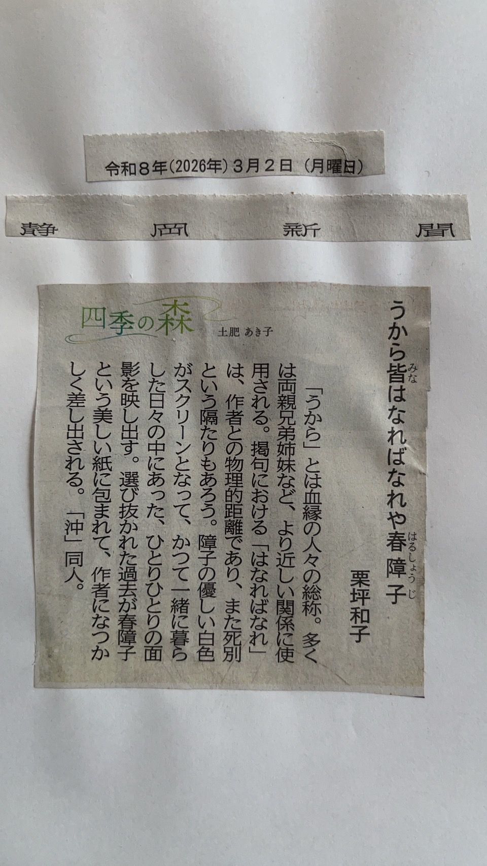 静岡新聞